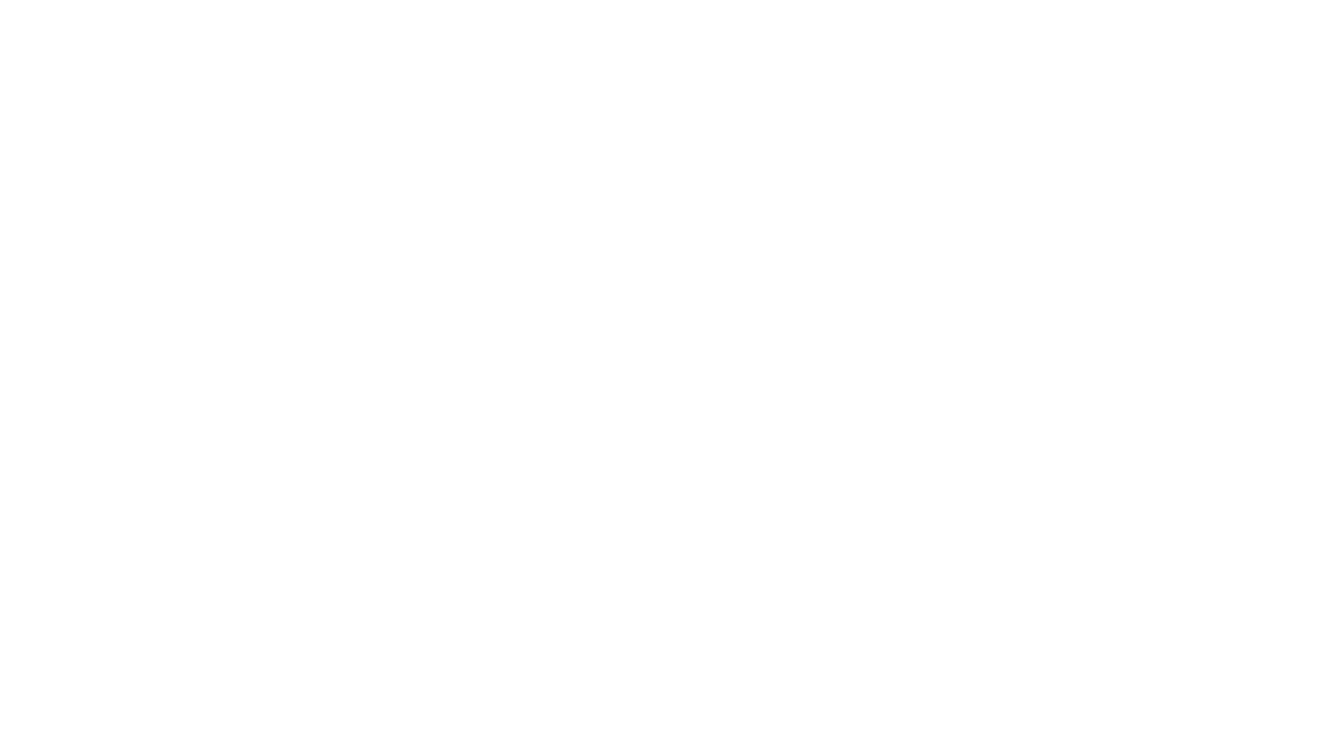 logo_pimex_blanco.png